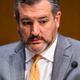 Image for article titled Ted Cruz Is Beefing with Big Bird